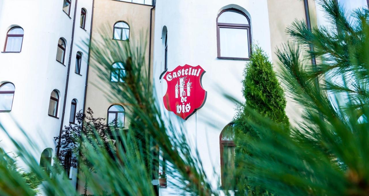 Castelul De Vis Hotell Petroşani Eksteriør bilde